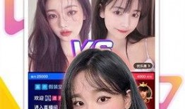 小保镖直播爆料视频下载,爆料视频背后的惊人真相