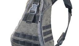 和平精英最新背包爆料,全新道具等你来探索